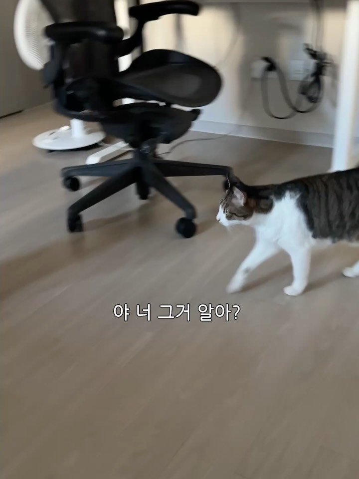 ganher_cat_ 게시물 이미지: 함몰 유두라고 놀리다가 복수당함..
그것도 새벽에 자다가 날벼락..
함몰 찌찌...