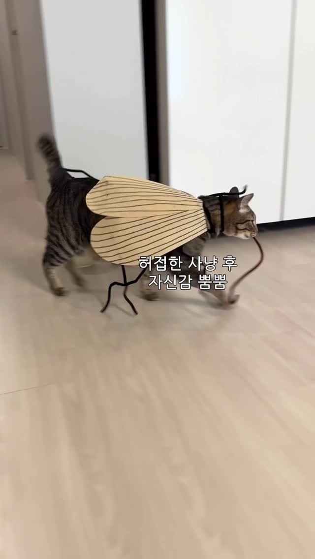 ganher_cat_ 게시물 이미지: 비싼 장난감 다 필요 없음
바퀴벌레 다리 하나면...