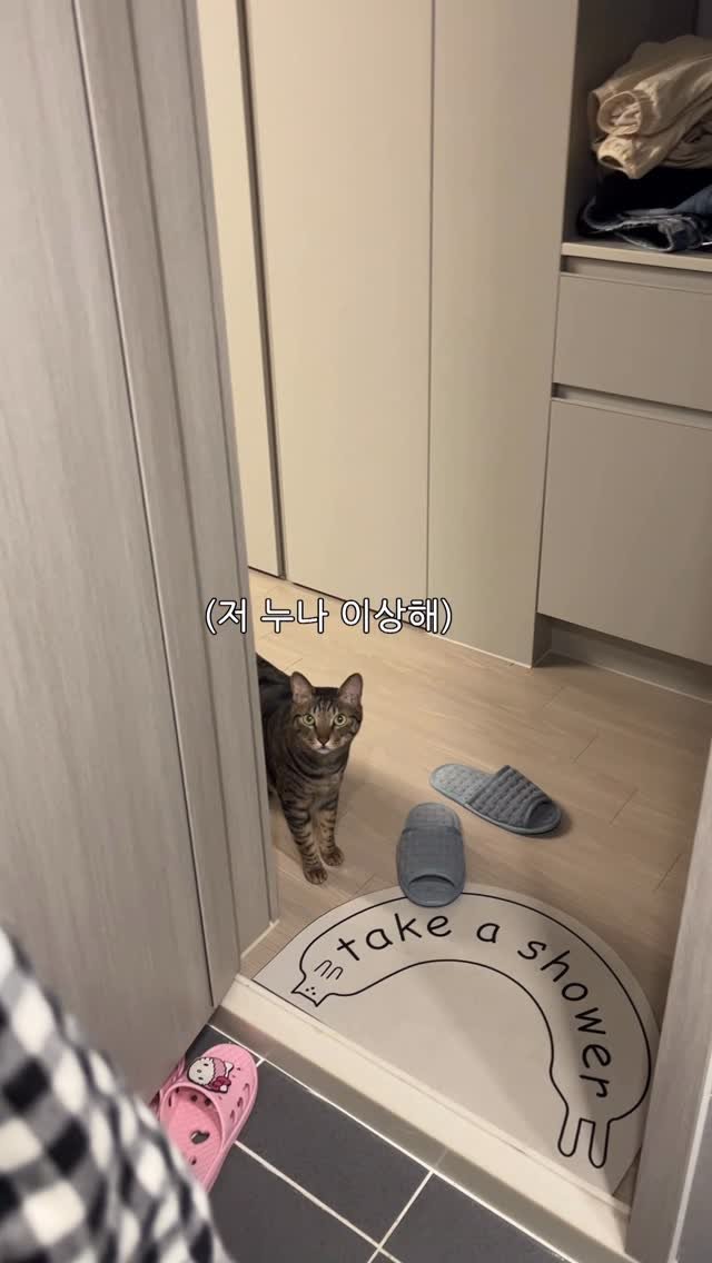 ganher_cat_ 게시물 이미지: 어쩌다 내 가글이 너의 루틴이 되었을까..?
덕분에 가글의 달인
저렇게 격렬하게...