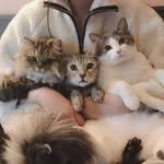 beng_house 프로필 사진