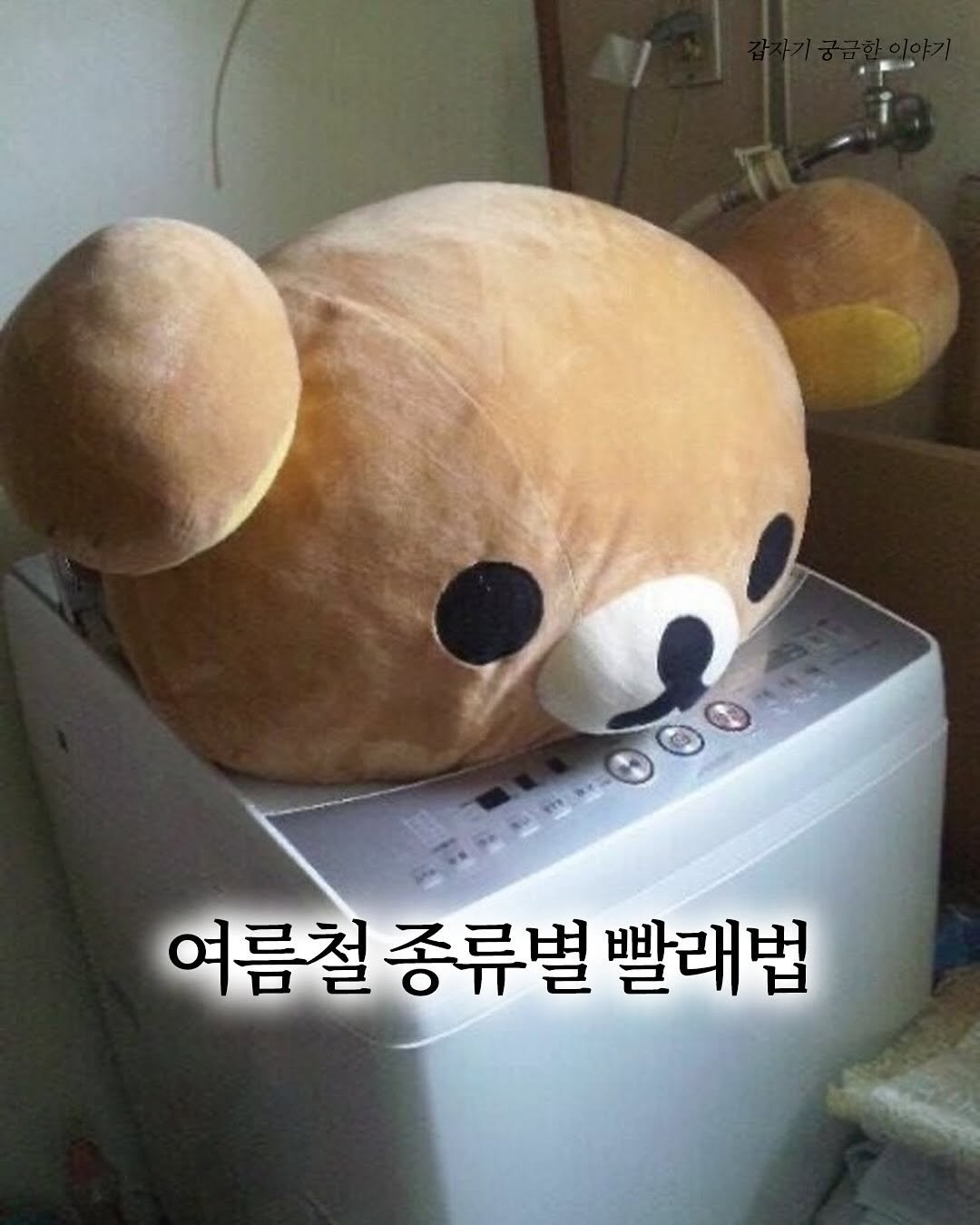 Photo by 갑궁 on July 27, 2025. May be an image of bear, toy and text that says '여름철 종류별 빨래법'.