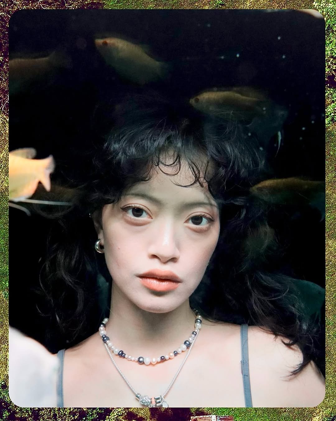 Photo by Garbo Zhu on March 31, 2026. May be an image of goldfish and text.