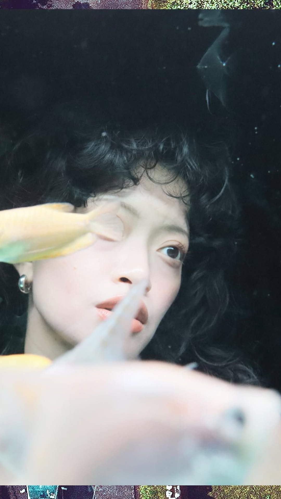 garbo.zhu 게시물 이미지: Every whimsy girls’ dream 🎏🐡

Ib @rainiana