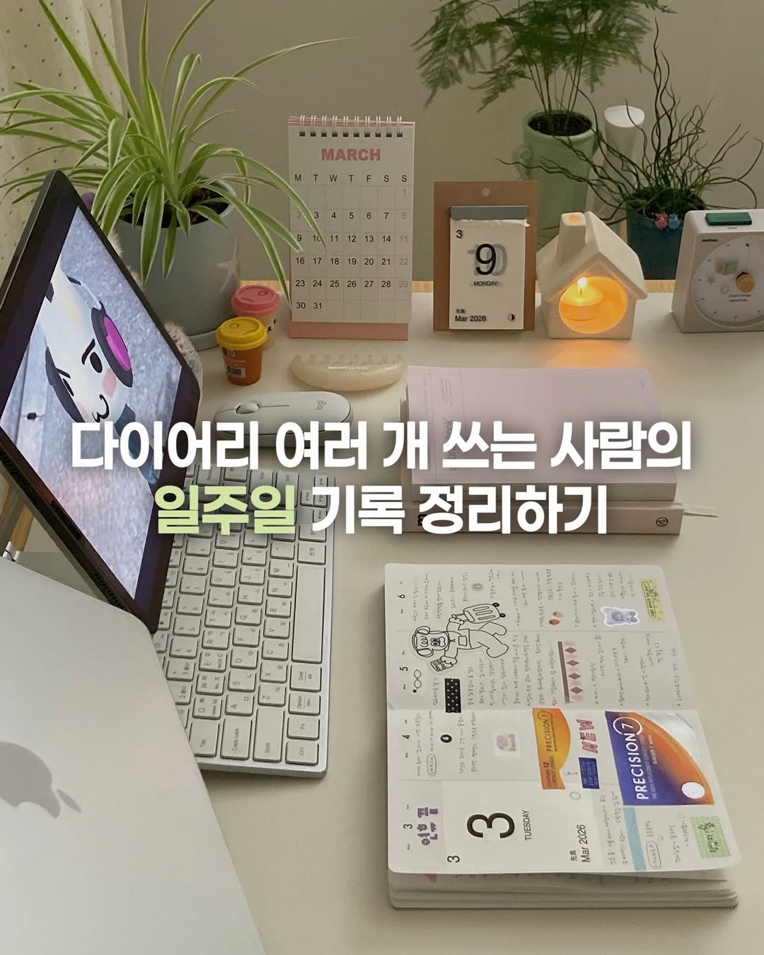 Photo shared by 가든 gardenxzip on March 28, 2026 tagging @alcon_vc_official. May be an image of text.