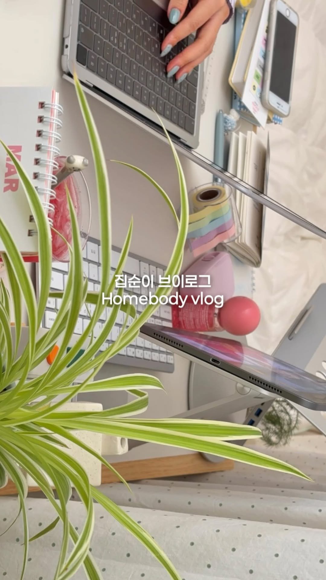 gardenxzip 게시물 이미지: [든로그 ep.5] 집순이 브이로그

따끈따끈한 오늘 영상 .ᐟ 그리고 지난주...