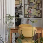 gardenxzip 인스타그램 프로필 사진