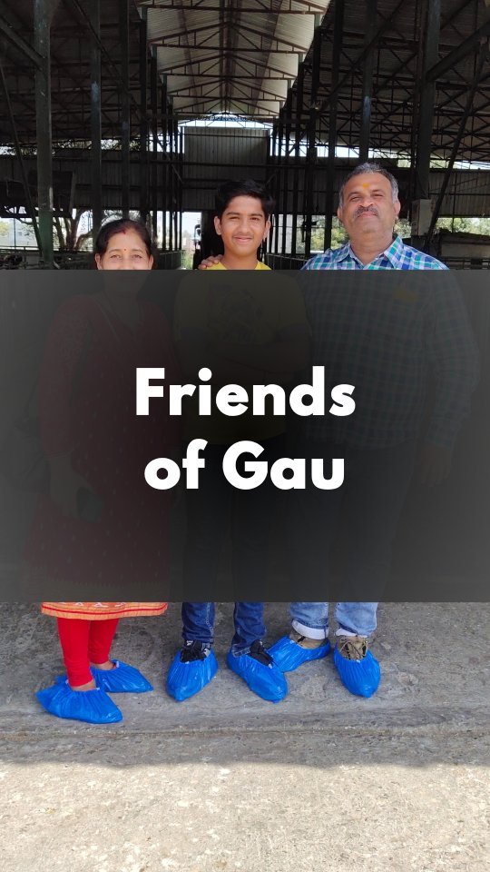 gau.organics 게시물 이미지: Friends of Gau :)

#dayatgau #friendsofgau...
