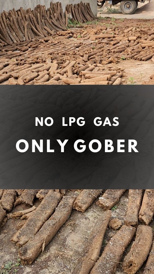 gau.organics 게시물 이미지: ये वीडियो उन सभी के लिए है जो सोचते हैं कि गौ...