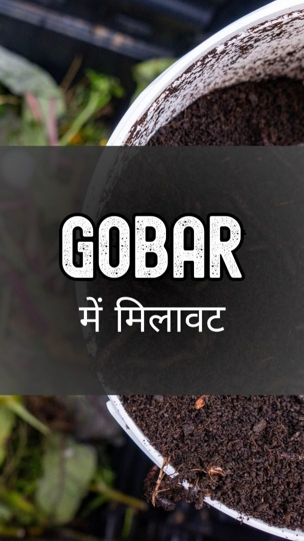 gau.organics 게시물 이미지: और अगर आपको असली वर्मीकम्पोस्ट खाद चाहिए तो आप...