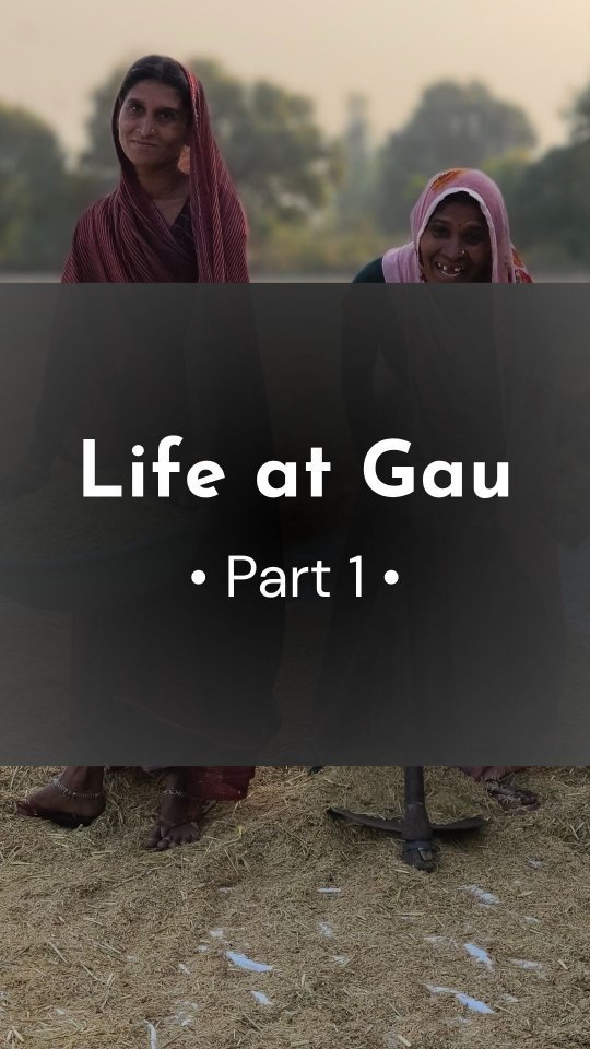 gau.organics 게시물 이미지: Life at Gau series ke first part mein aapka...