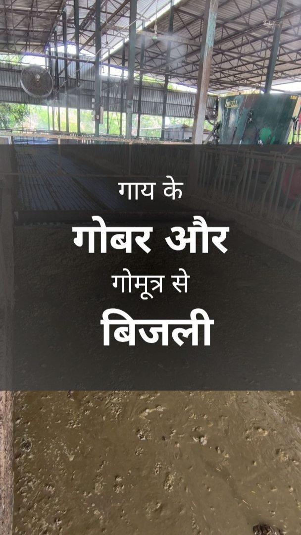 gau.organics 게시물 이미지: To know more about Cow Dung Scrapping Machine...