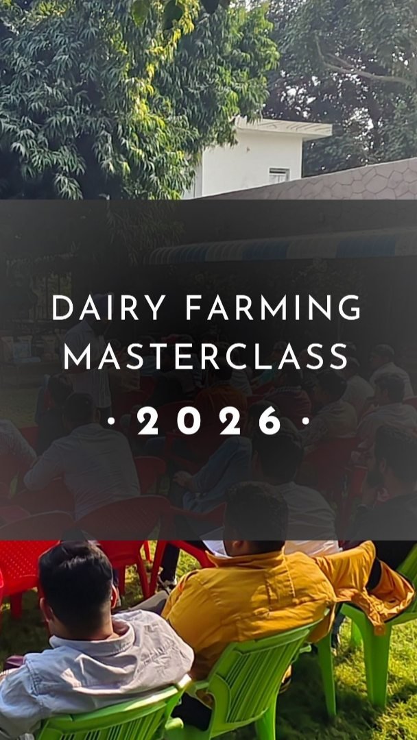 gau.organics 게시물 이미지: Dairy Farming Masterclass 2026
Location •...