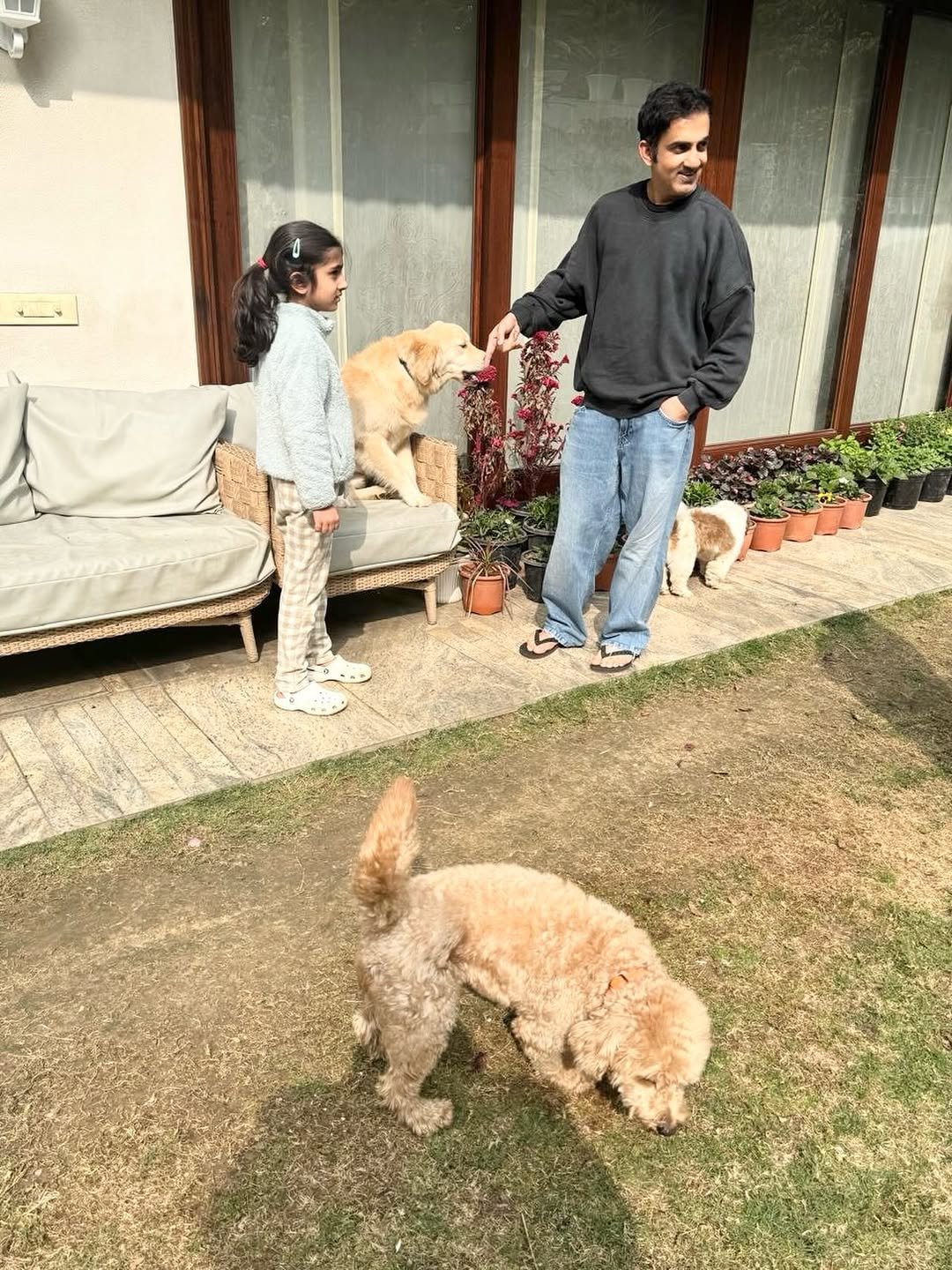 Photo by Gautam Gambhir on February 01, 2026. May be an image of golden retriever, cocker spaniel, grass and text.