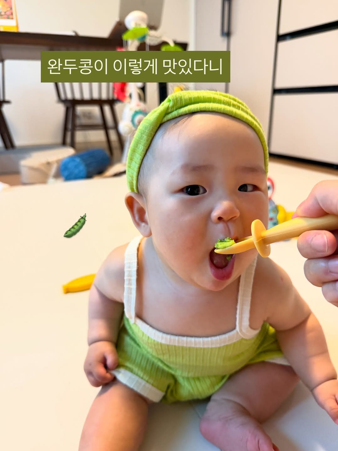 gawon_tantan 게시물 이미지: 여수에서 농사지어 판매해주신 농부님 감사합니다🫛🫛

가원이가 이렇게 완두콩을...