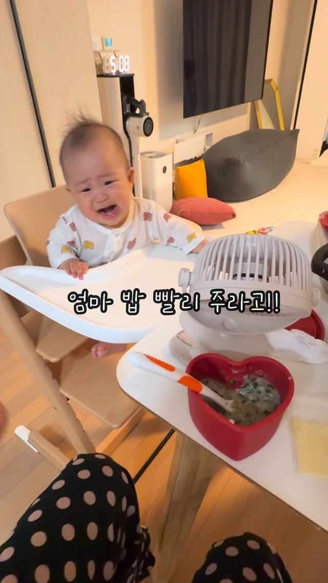 gawon_tantan 게시물 이미지: 꼬라지도 부릴 줄 아는 200일 가원이에요🔥
특히 의자에 앉혔는데 바로 밥을 안주면...
