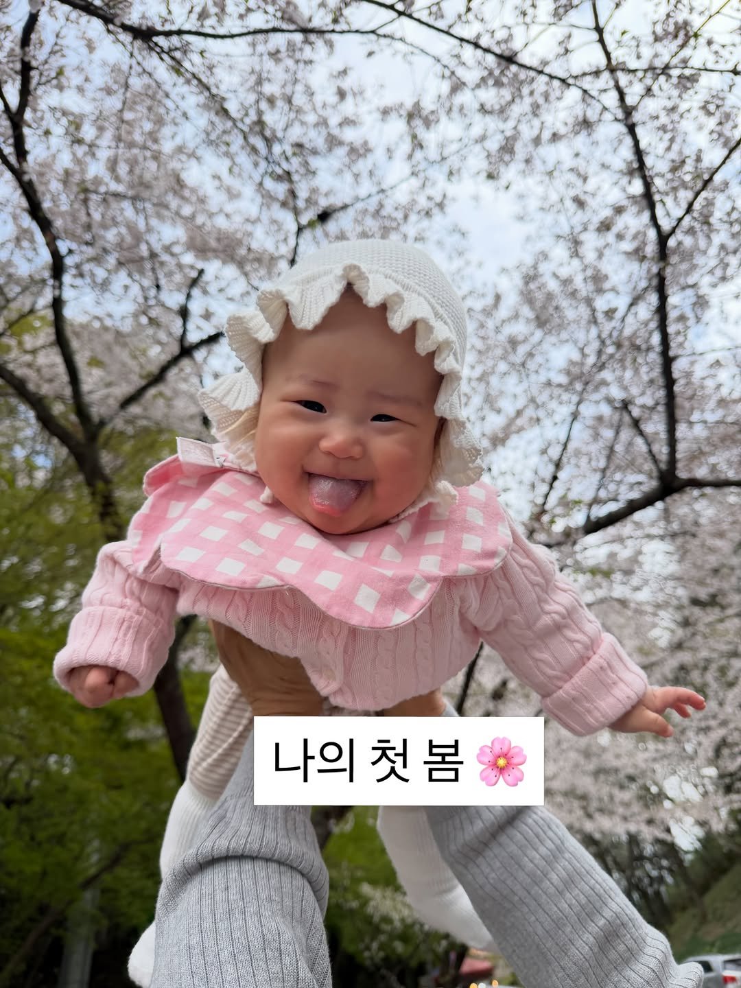 gawon_tantan 게시물 이미지: 🌸 인생 첫 벚꽃은 할머니집에서🌸

저 이제 제법 카메라 앞애서 웃을 수...
