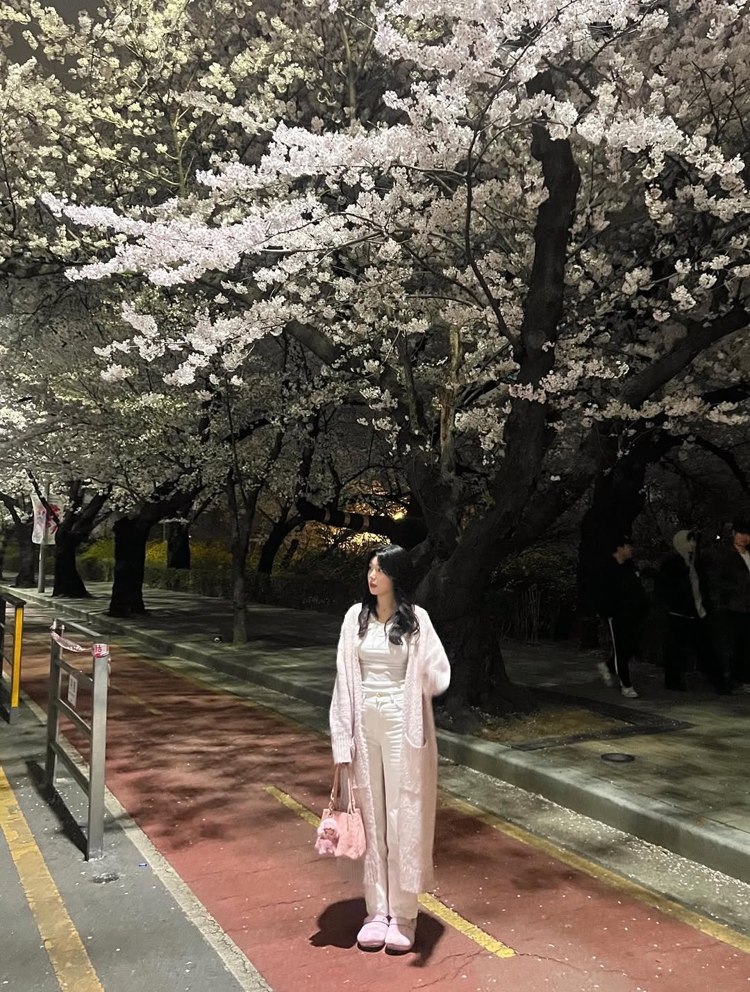 Photo by 가영 on April 06, 2026. May be an image of stone-fruit tree and text.