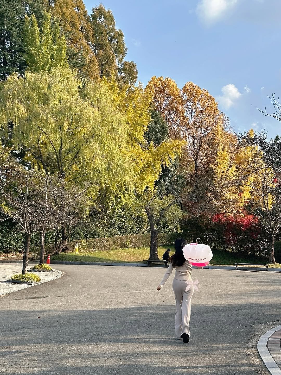 Photo by 가영 on November 10, 2025. May be an image of scarecrow, park and text.