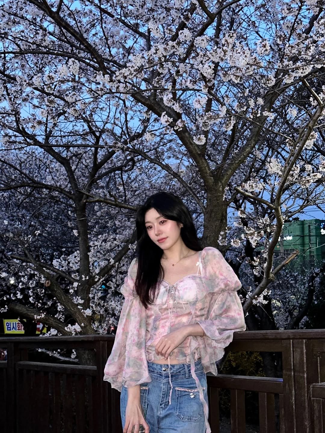 Photo by 가영 on April 26, 2026. May be an image of stone-fruit tree and text.