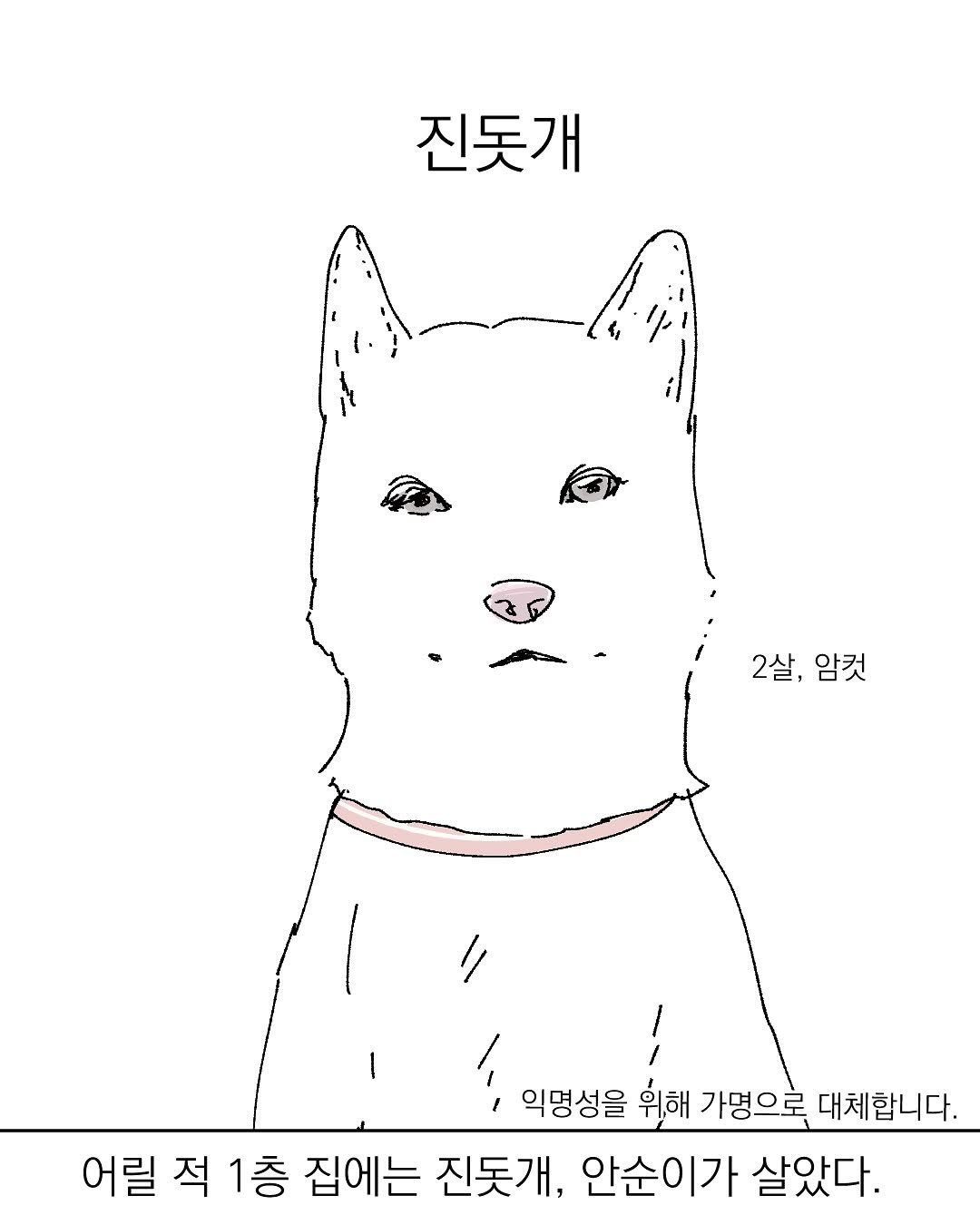 Photo by 그따띠 on August 07, 2025. May be pop art of Groenendael, duffle coat, poster and text that says '진돗개 2살, 2살,암컷 암컷 I 익명성을 위해 가명으로 대체합니다. 어릴 어릴적1층 적 1층 집에는 진돗개, 안순이가 살았다.'.