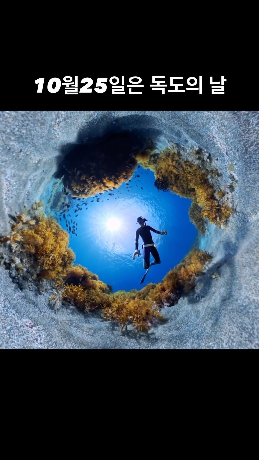 geek___tv 게시물 이미지: 오늘은 독도의 날
.
.
풀버전은 프로필 링크 참고!!
.
📸 @insta360kr...