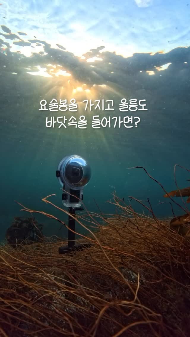 geek___tv 게시물 이미지: X5 다이브케이스 프로는 요술봉
.
.
@insta360kr X5 인비져블...
