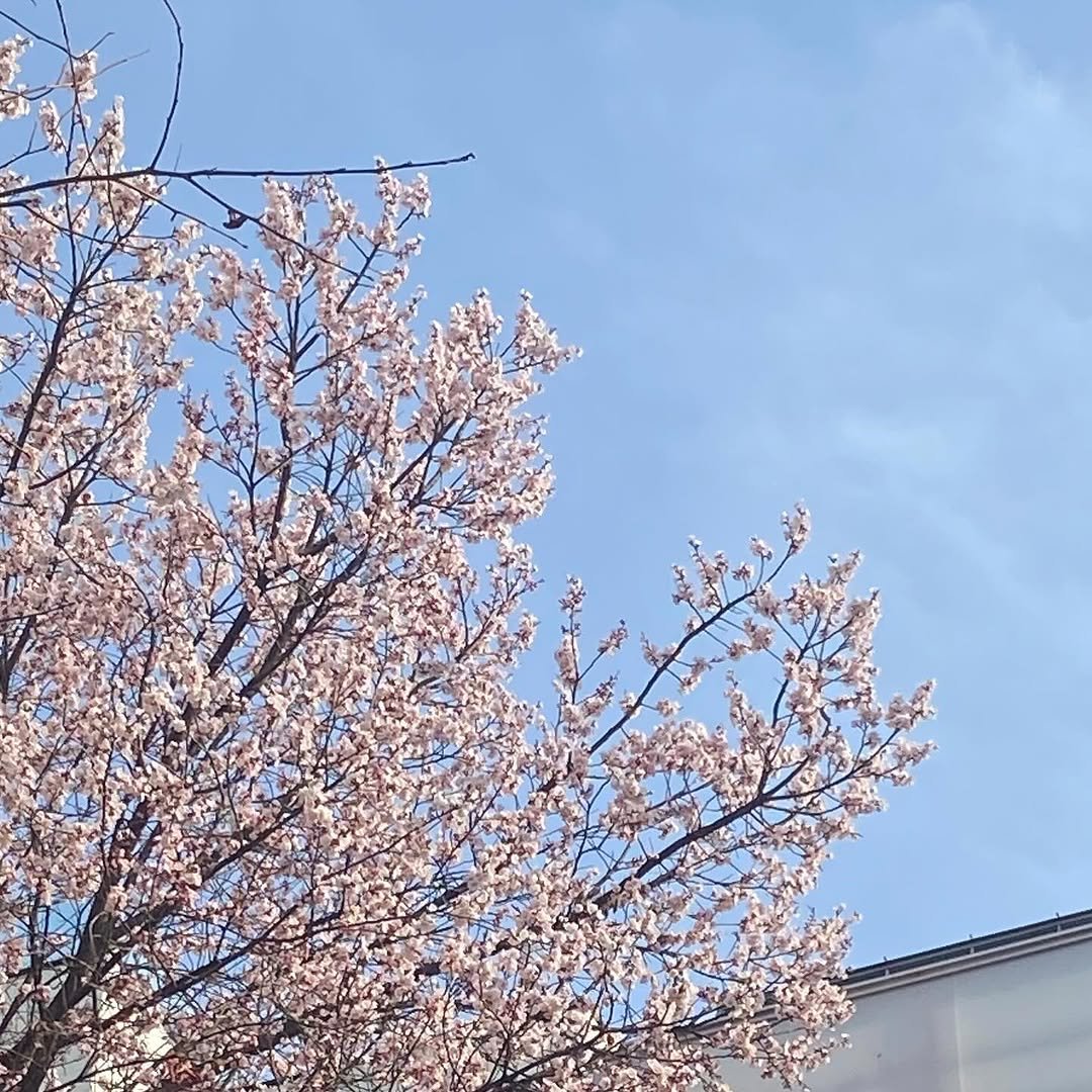 Photo by 김지원 on April 25, 2025.