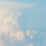 dada.s_nail 프로필 사진