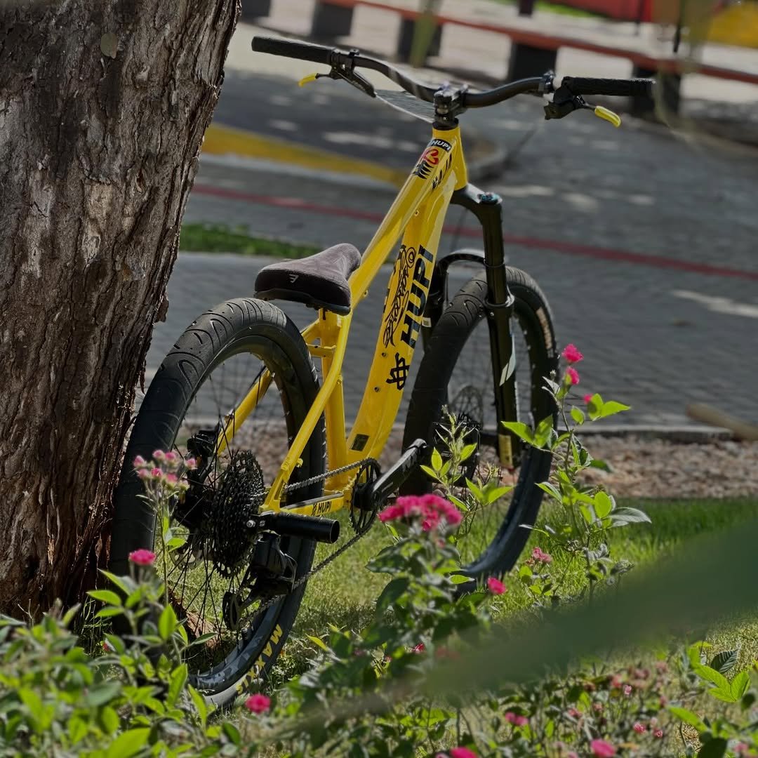 Photo shared by Pedro Araujo on April 20, 2026 tagging @geracao_bike. May be an image of bicycle, wheel, outdoors and text.