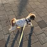 butter__moong 프로필 사진