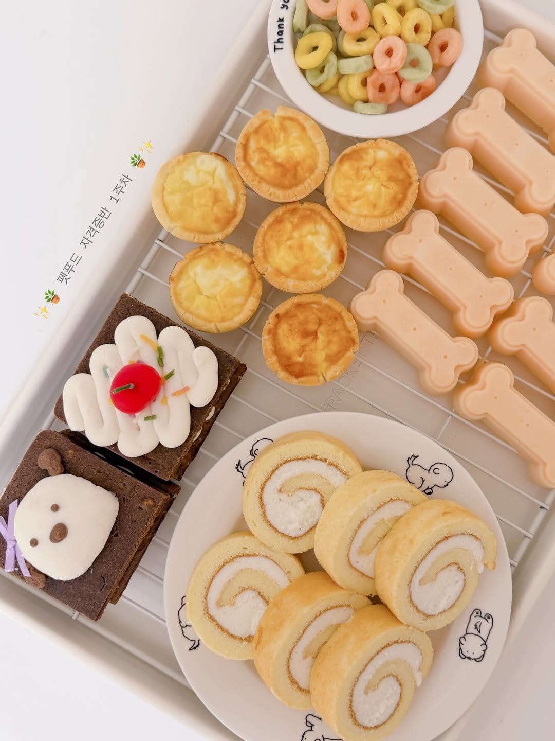 geumdong_meal 게시물 이미지: ✨🌿 펫푸드 자격증반 1주차 🌿✨

멀리 파주에서 달려와주신 나나🐶네와의 첫 번째...