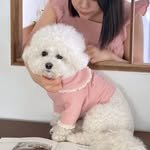 addaling 프로필 사진
