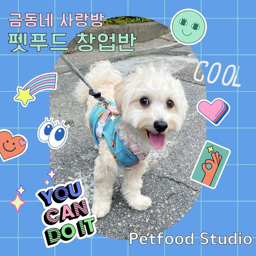 Photo by 금동네 사랑방 │ 펫푸드 전문가 금동쌤👩🏻‍🍳 │ 잠실 강아지 수제간식 공방 │ 𝐒𝐢𝐧𝐜𝐞 𝟐𝟎𝟐𝟏 on March 17, 2023.