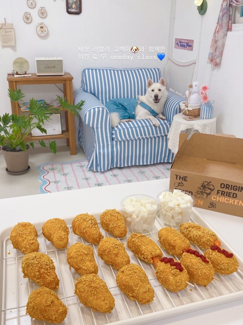 Photo shared by 금동네 사랑방 │ 펫푸드 전문가 금동쌤👩🏻‍🍳 │ 잠실 강아지 수제간식 공방 │ 𝐒𝐢𝐧𝐜𝐞 𝟐𝟎𝟐𝟏 on September 26, 2025 tagging @go_back_e. May be an image of Bedlington terrier, Pekinese, Norwich terrier, Maltese, croquette, oatmeal cookies, coconut macaroon, fritter, cutlet and text.