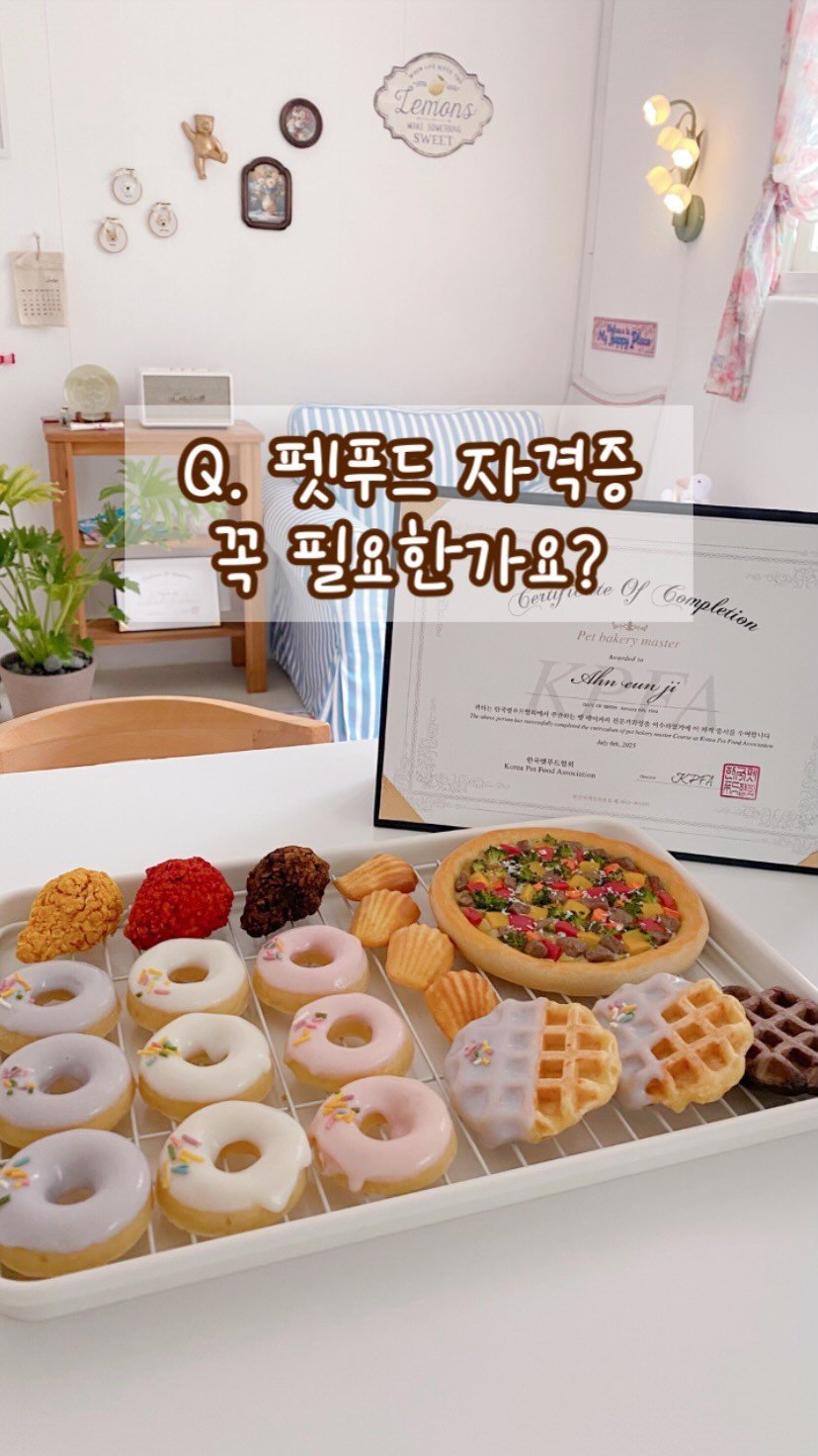 geumdong_meal 게시물 이미지: Q. 자격증이 필요한가요?

제 대답은 NO 🙅🏻‍♀️

수제간식 자격증은...