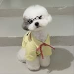 daily_chako 프로필 사진