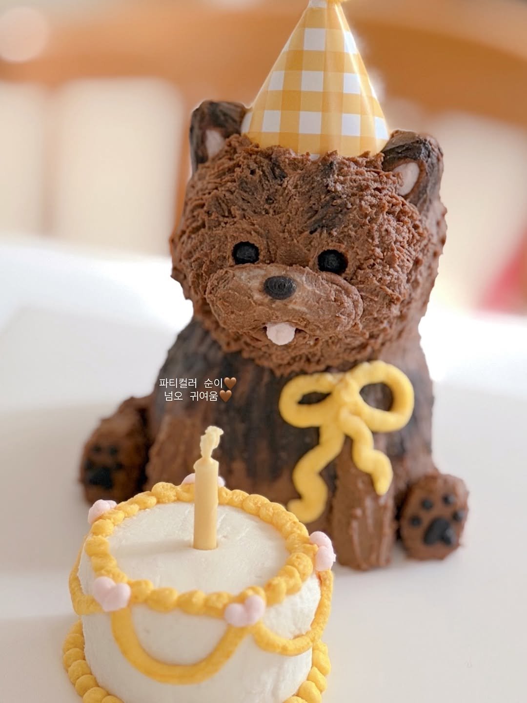 Photo shared by 금동네 사랑방 │ 펫푸드 전문가 금동쌤👩🏻‍🍳 │ 잠실 강아지 수제간식 공방 │ 𝐒𝐢𝐧𝐜𝐞 𝟐𝟎𝟐𝟏 on February 20, 2026 tagging @bee.6758. May be an image of Norwich terrier, cake, candle and text that says '파티컬러순이 파티 파티컬러 순이 넘오귀어움 넘오 귀여움'.