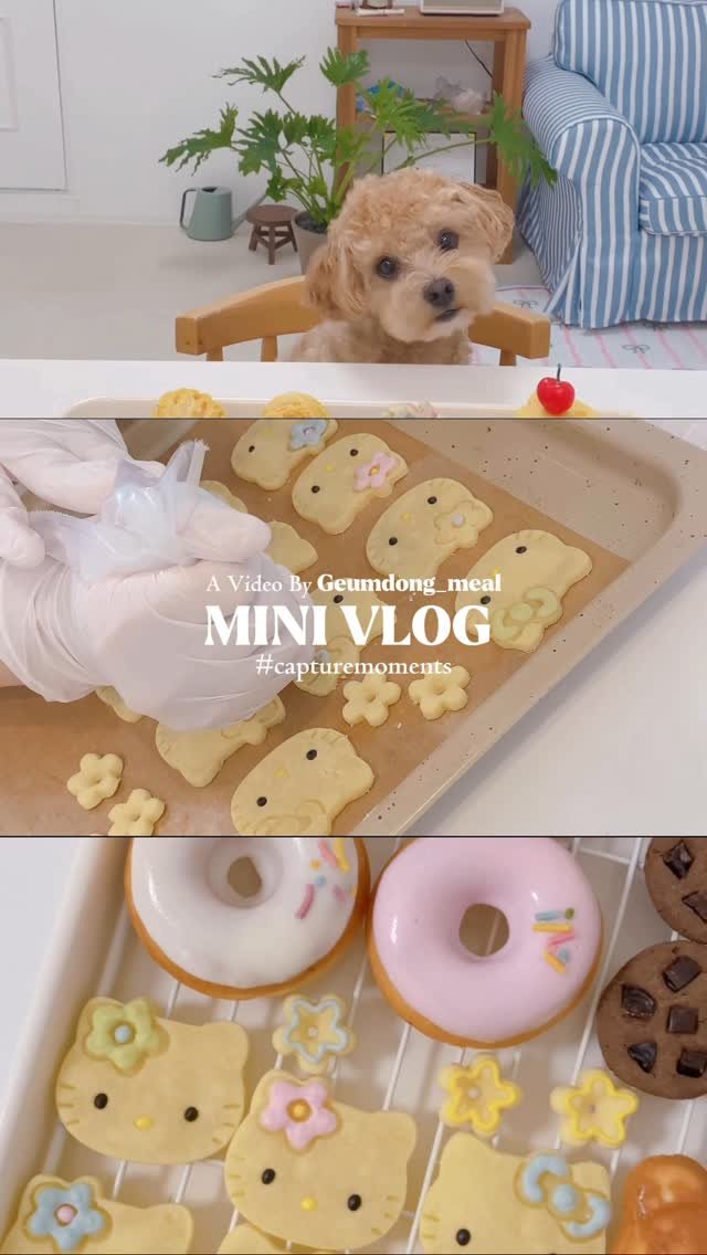 geumdong_meal 게시물 이미지: [금동네의 소소한 일상 vlog 🍋]
요즘 금동네는 연강에 연강!
정말 숨 가쁘게...