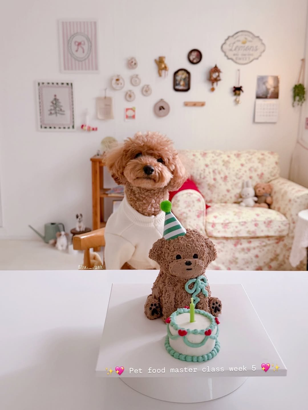 Photo shared by 금동네 사랑방 │ 펫푸드 전문가 금동쌤👩🏻‍🍳 │ 잠실 강아지 수제간식 공방 │ 𝐒𝐢𝐧𝐜𝐞 𝟐𝟎𝟐𝟏 on February 18, 2026 tagging @bu._.gak. May be an image of Bedlington terrier, cake, gingerbread cookie and text.