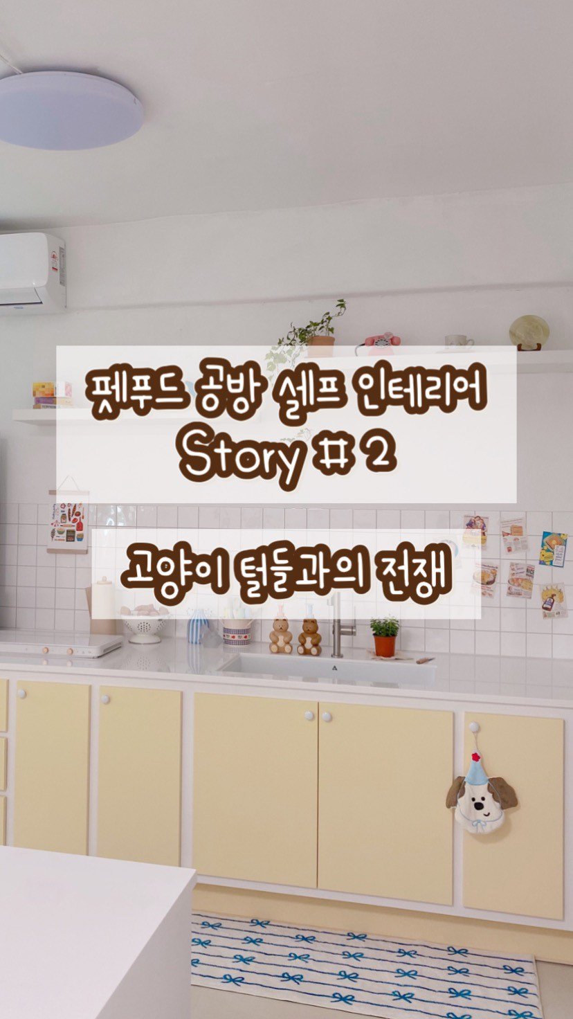 geumdong_meal 게시물 이미지: 공방 셀프 인테리어 story #2 ✨

요즘 인테리어 하는 쌤들 보니,
저도...