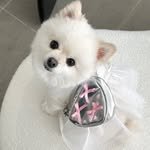 latte_is_love_ 프로필 사진