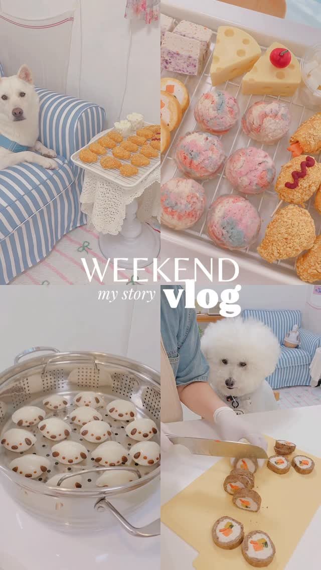 geumdong_meal 게시물 이미지: [금동네의 소소한 일상 vlog 🍋]
이번 주도 많은 아가들🐶이 놀러와 주어
반가운...