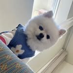 latte_is_love_ 프로필 사진