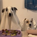 dallucas_table 프로필 사진