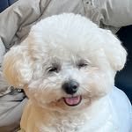 _moreluv_ 프로필 사진