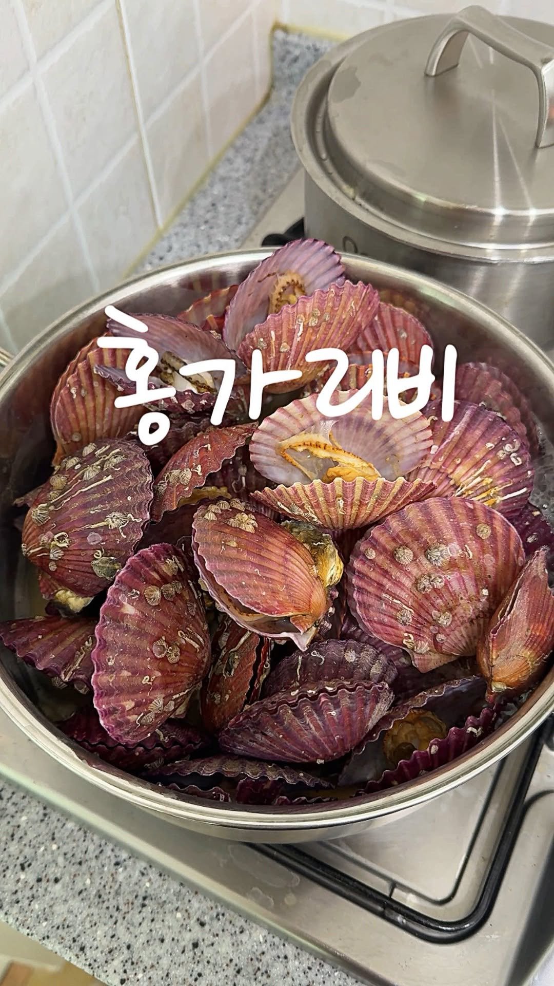 geuming_salrim 게시물 이미지: 홍가리비는 비빔양념으로 꼭 해드세요 제발🙏 #단순제품제공

요새 또 홍가리비 철이라...