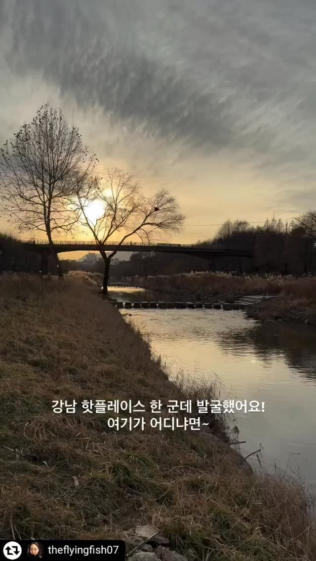 gfac_official 게시물 이미지: 🎶 2025년 GFAC 서포터즈🎶

#리그램 - @theflyingfish07 by...