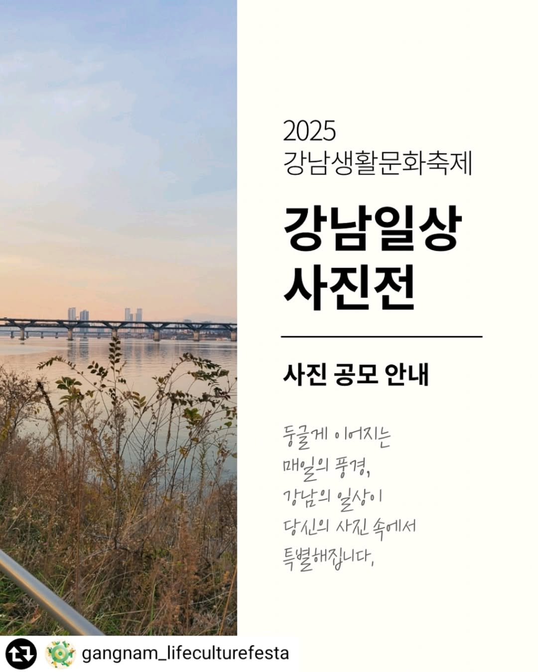Photo by 강남문화재단 on July 27, 2025. May be an image of pie, outdoors and text that says '2025 강남생활문화축제 강남일상 사진전 사진 공모 안내 둥글게 이어지는 매일의 풍경, 강남의 강남의일상이 일상이 당신의 사진 속에서 특별해집니다, 17 gangnam_lifeculturefesta'.