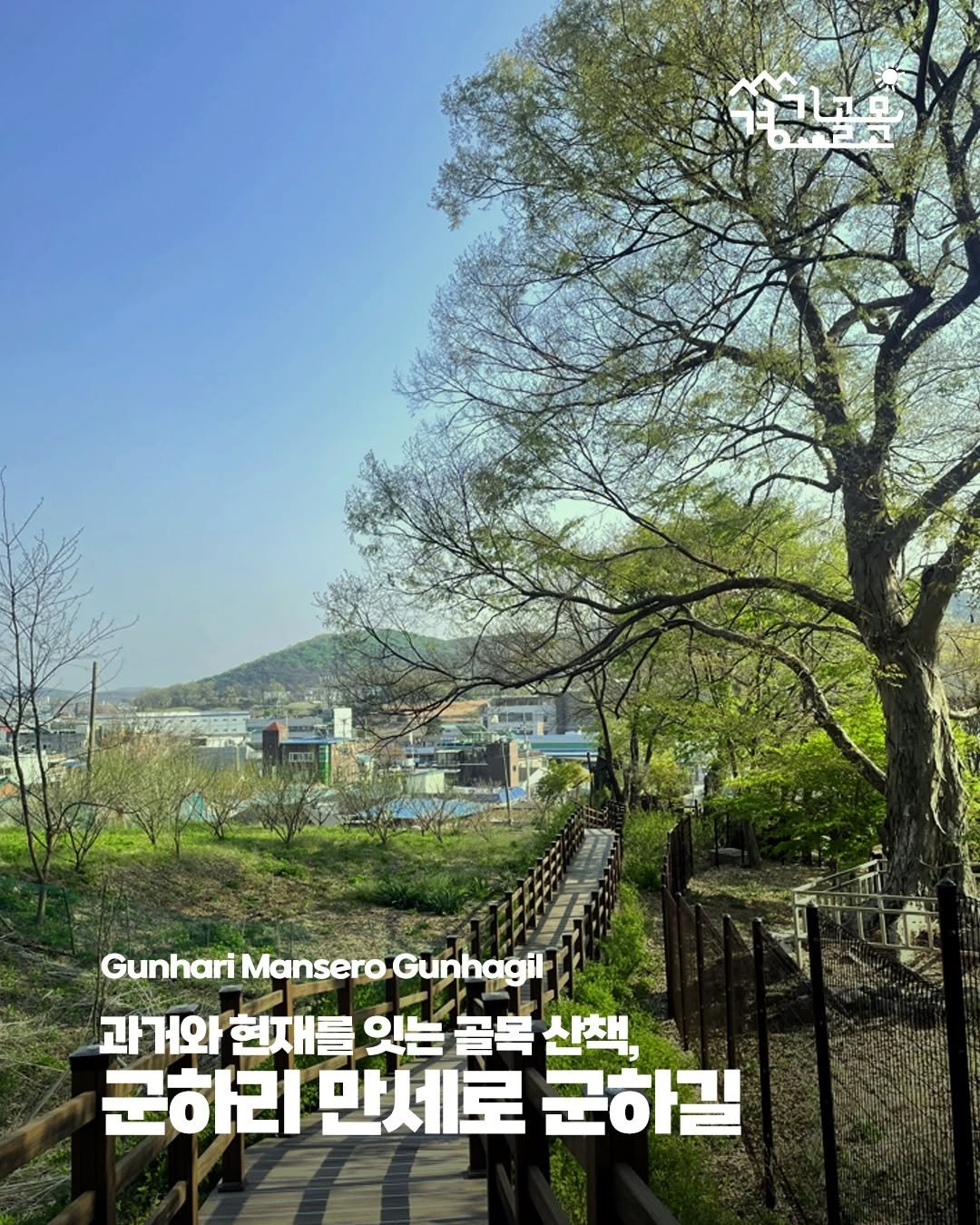 Photo by 경기골목 on July 24, 2025. May be an image of tree, outdoors, Gyeongbokgung Palace and text that says 'คไยี Taten Gunhari GunhariManseroGunhagil Mansero Gunhagil 과거와 현재를 잇는 골목 산책, 군하리 만세로 군하길'.