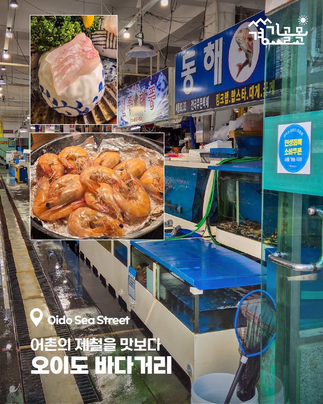 Photo by 경기골목 on November 02, 2025. May be an image of ‎text that says '‎동 통해 통이선 않고고 שחרנך THIE ትብር 0,្ុលាេ 민생회복 소비구폰 세주시장 Oido OidoSeaStreet Sea Street 어촌의 제철을 맛보다 오이도 바다거리‎'‎.